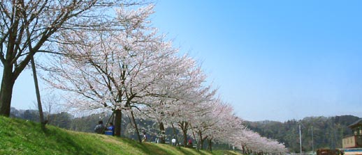 春を感じる風景